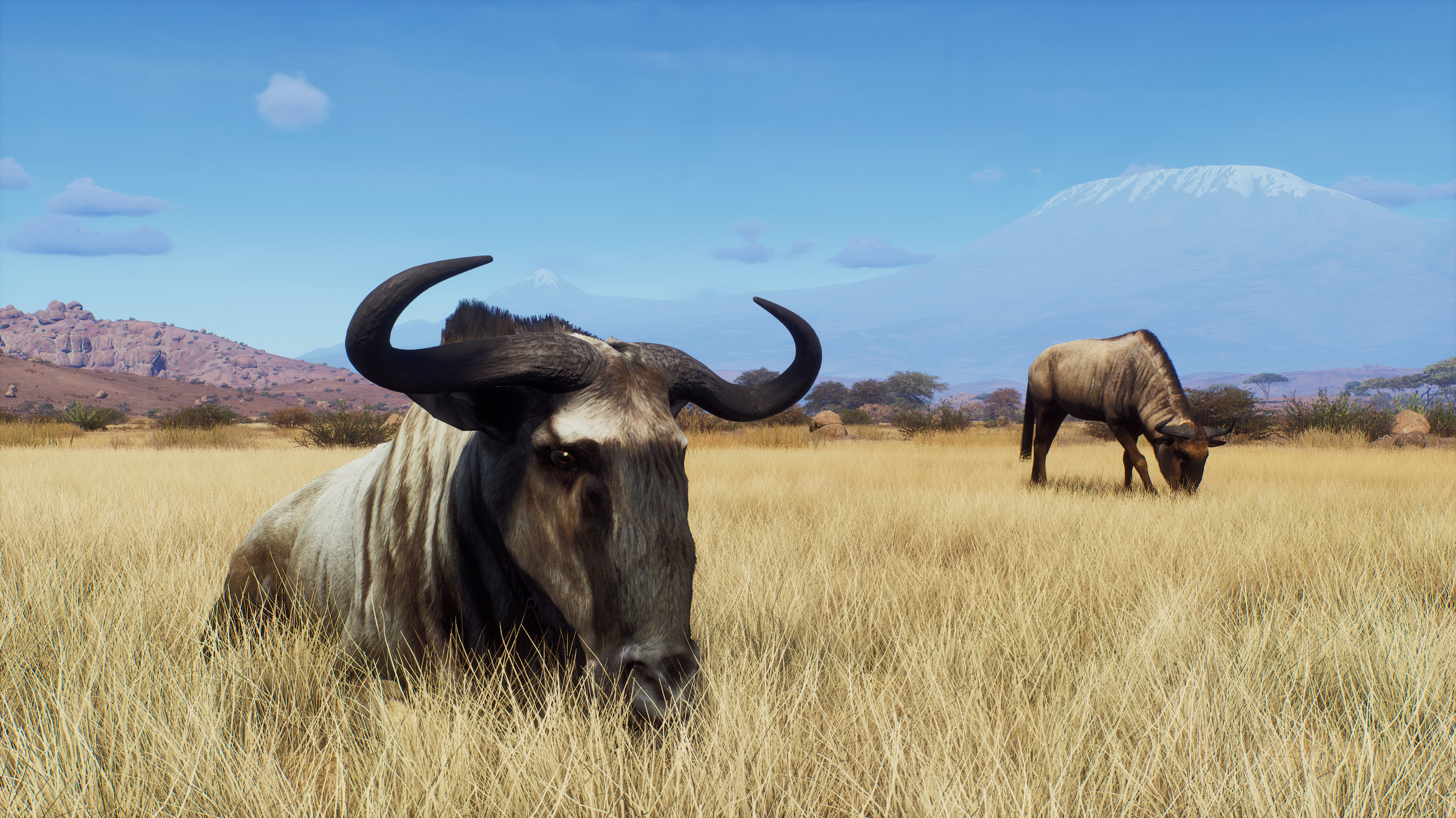 Way of the Hunter - Tikamoon Plains screenshot 13