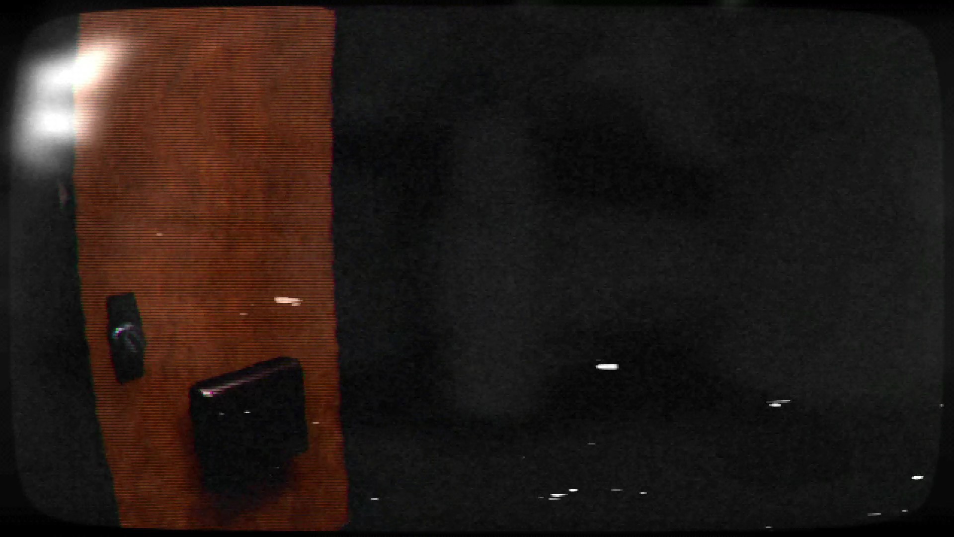 Pandemic 1993 screenshot 4