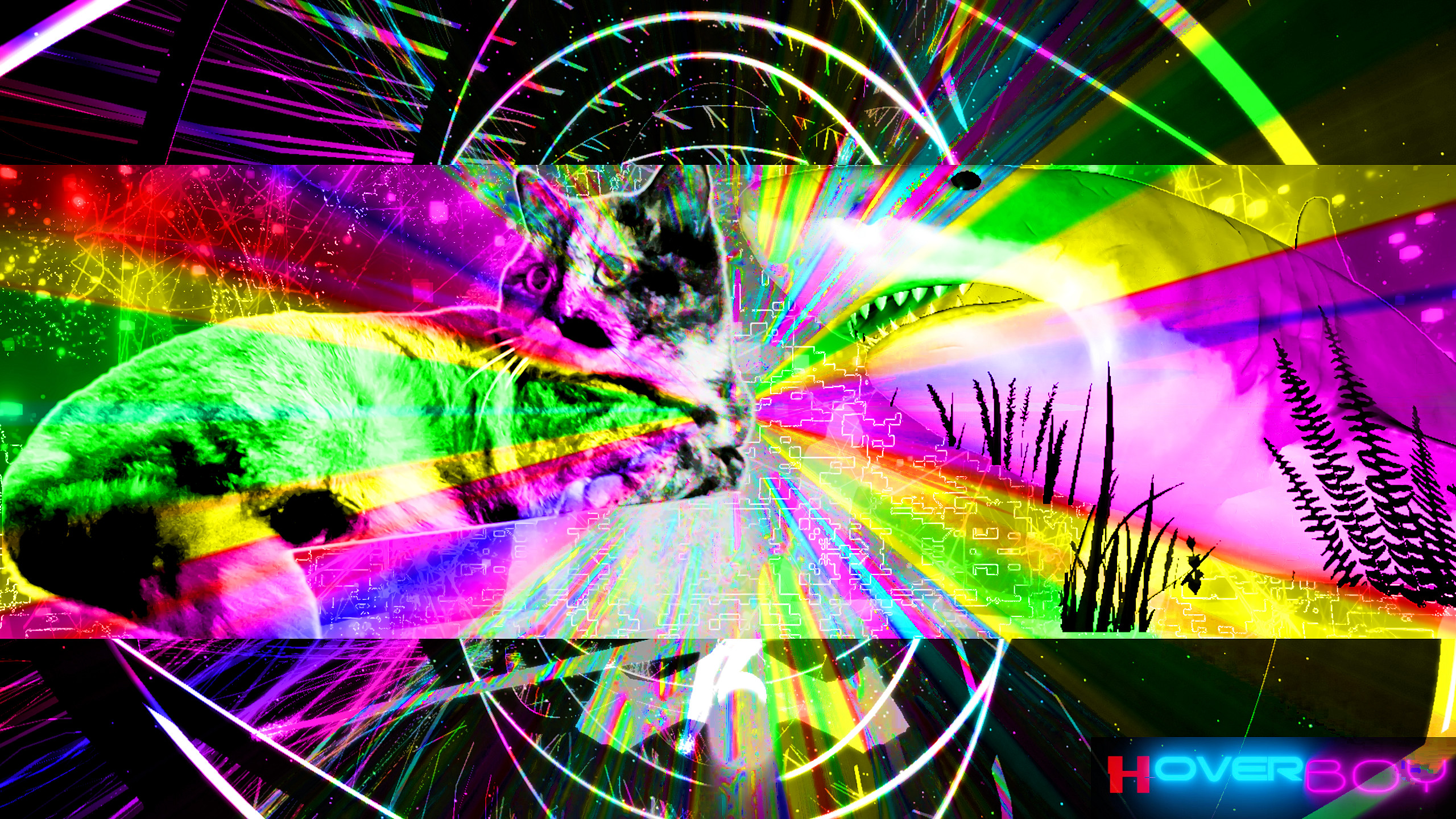 Hoverboy - Large Donation & Wallpaper screenshot 1