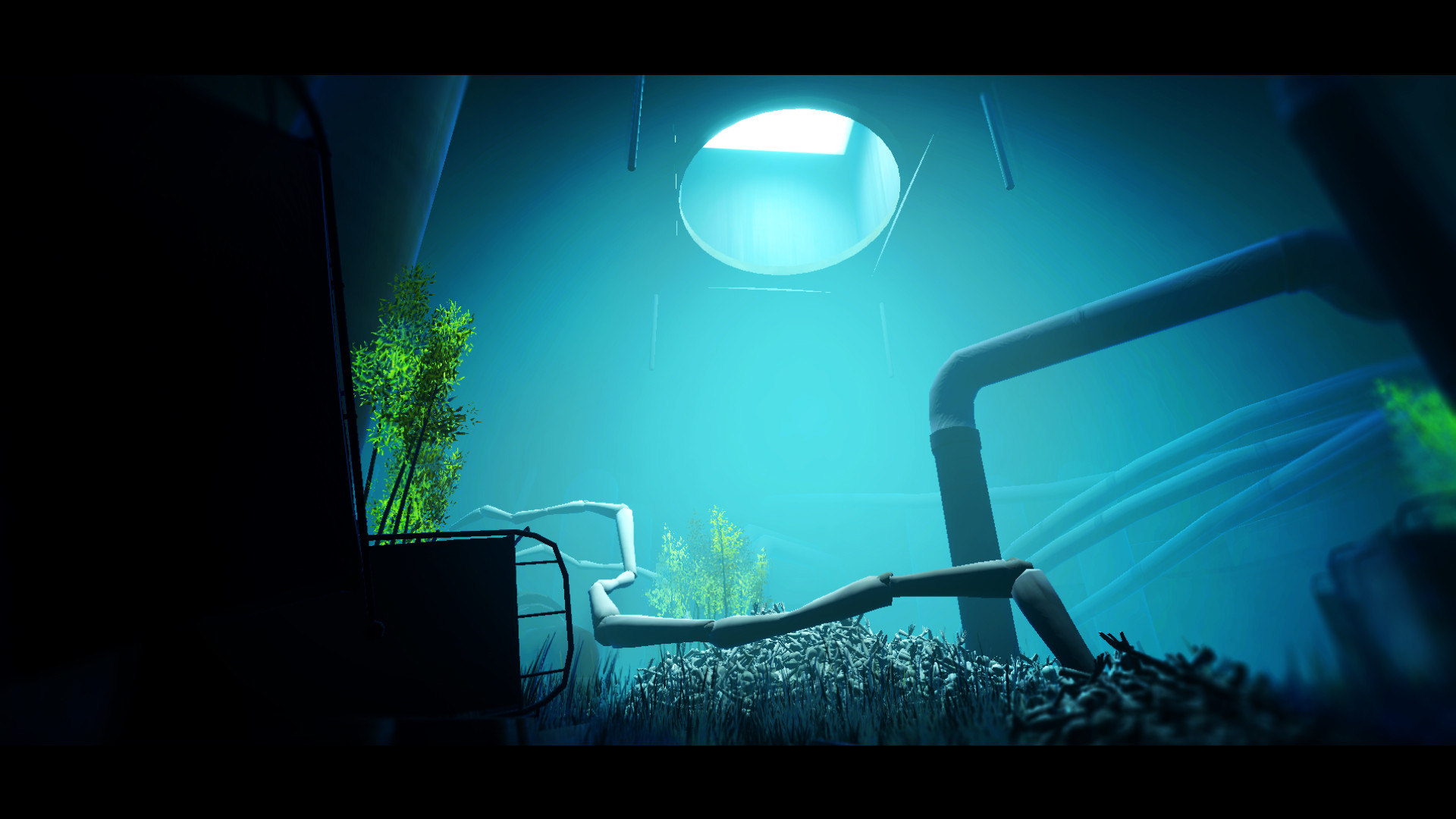 Acanthoceras screenshot 4
