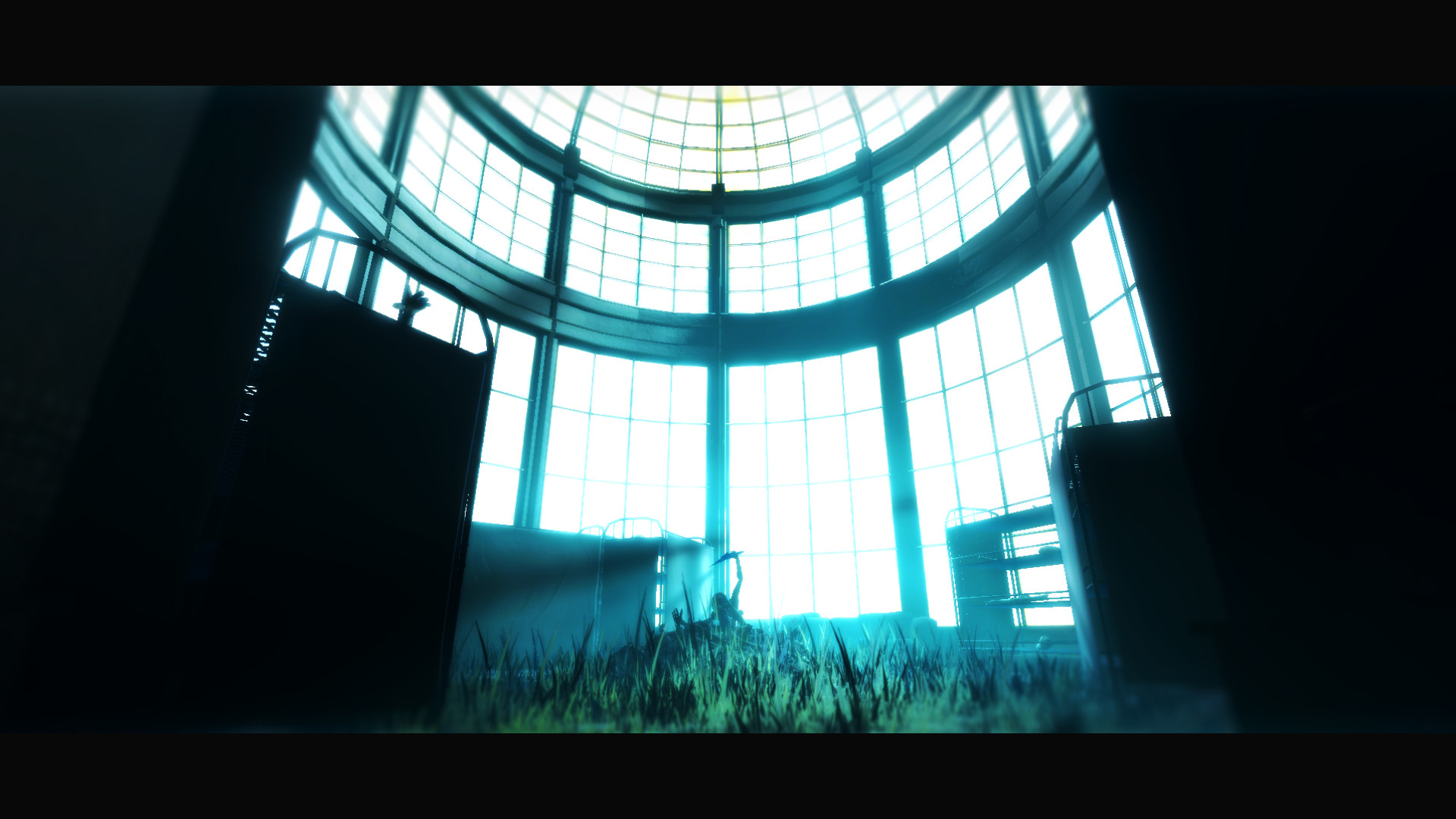 Acanthoceras screenshot 3