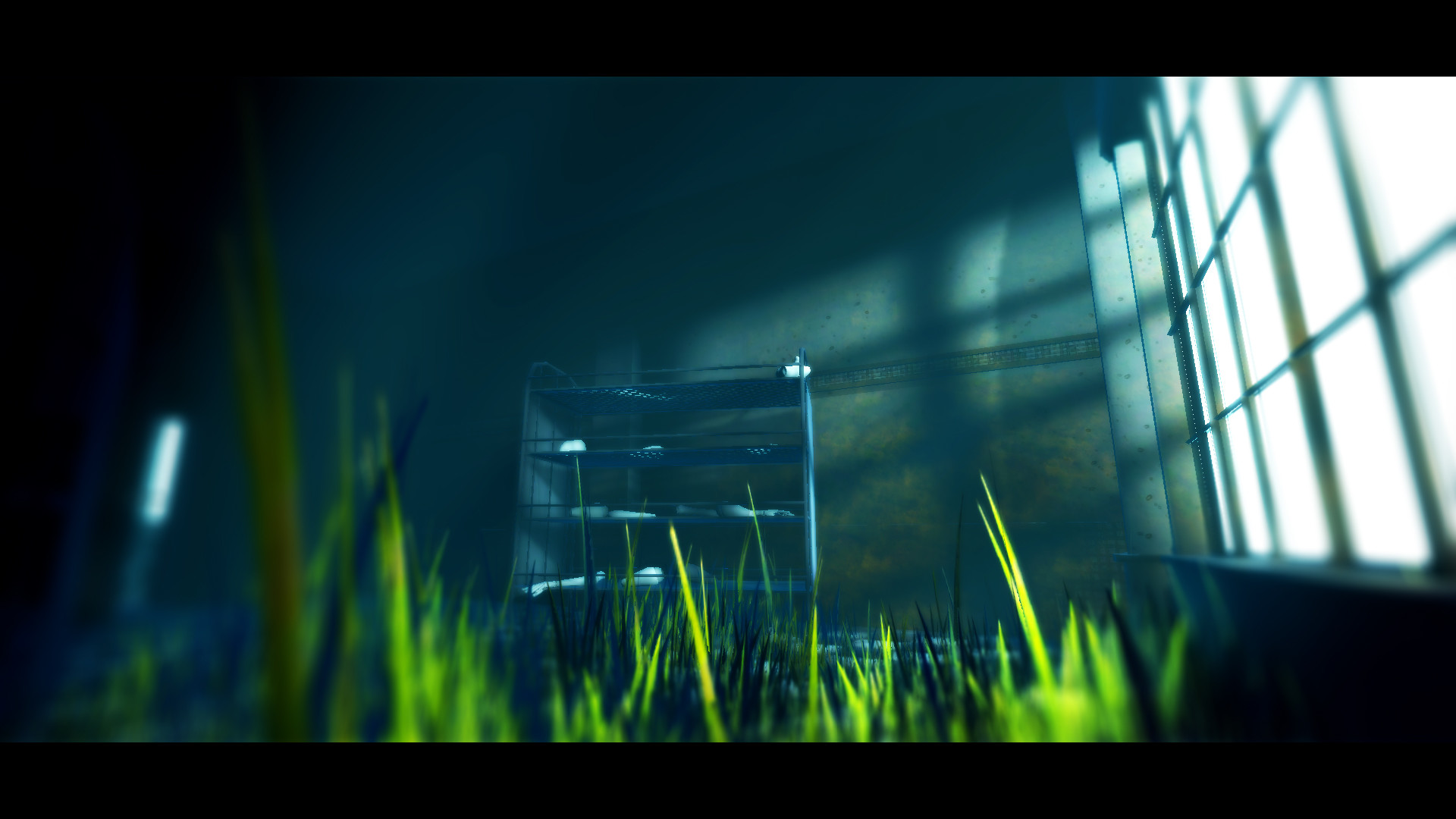 Acanthoceras screenshot 1