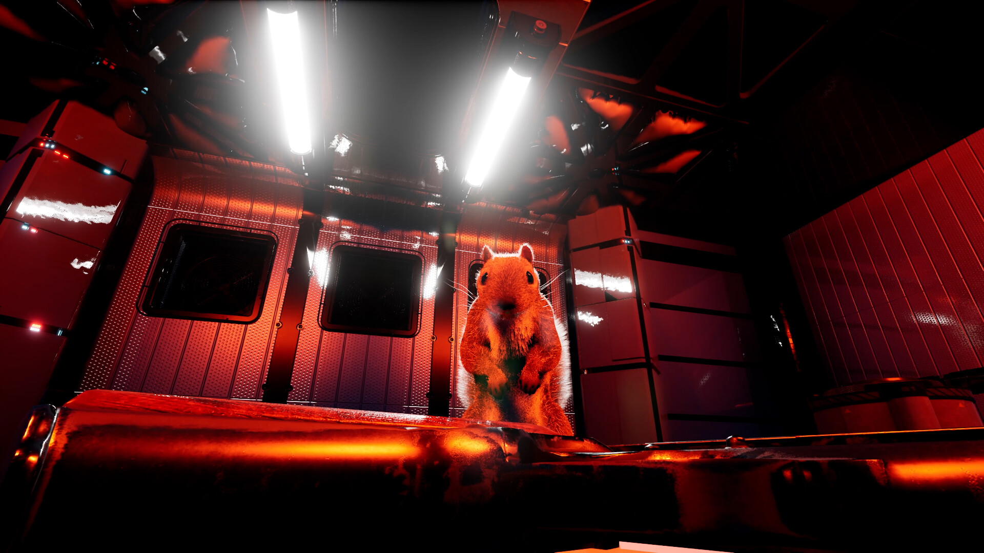 Squirrel with a Gun — изображение 12