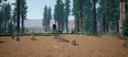 Screenshot #7