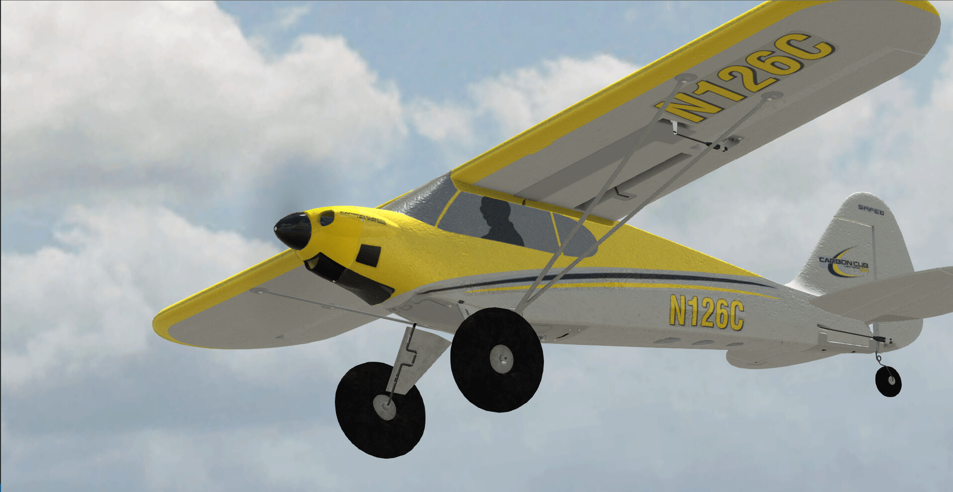 RealFlight Evolution screenshot 26
