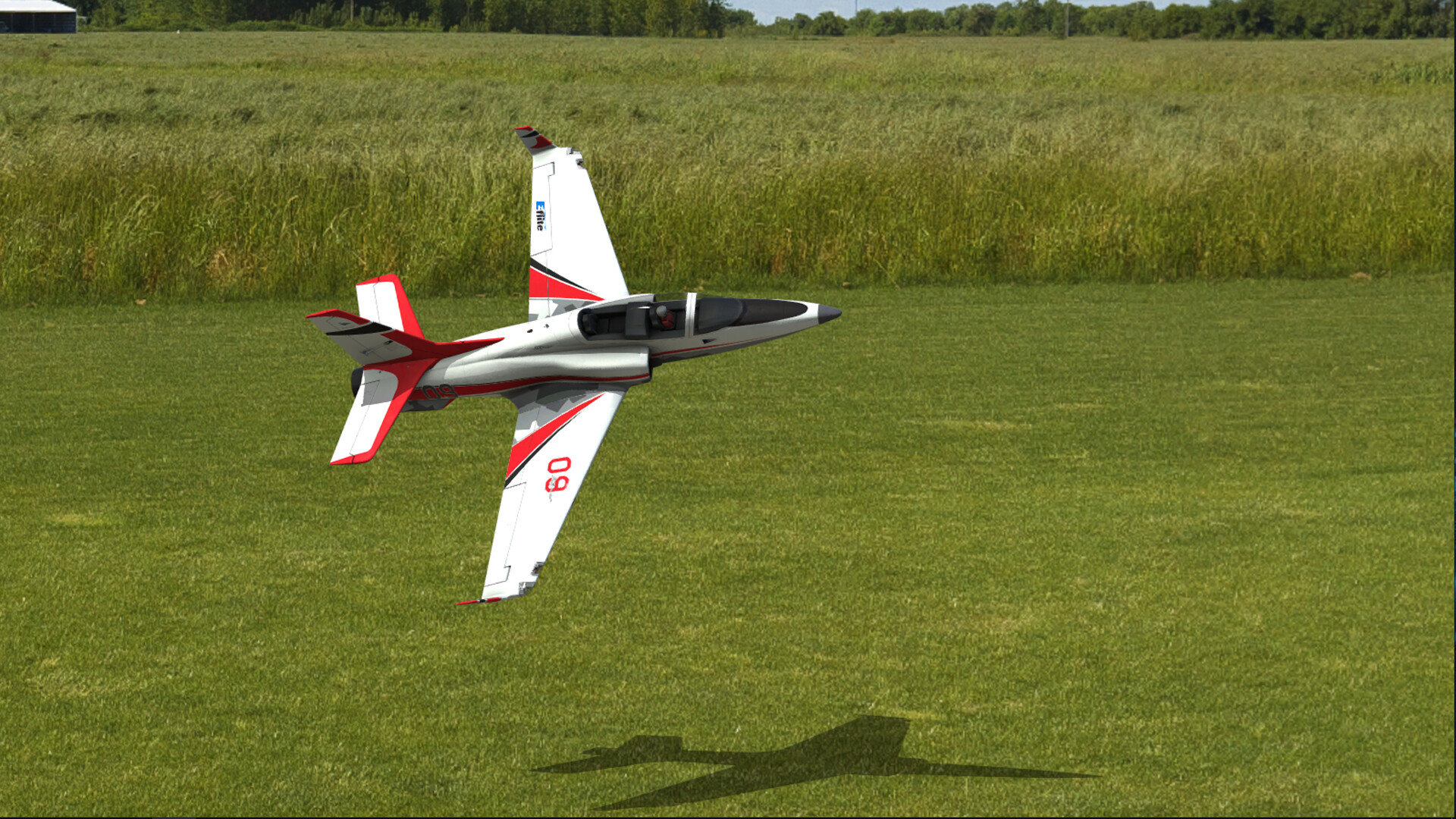 RealFlight Evolution — изображение 5