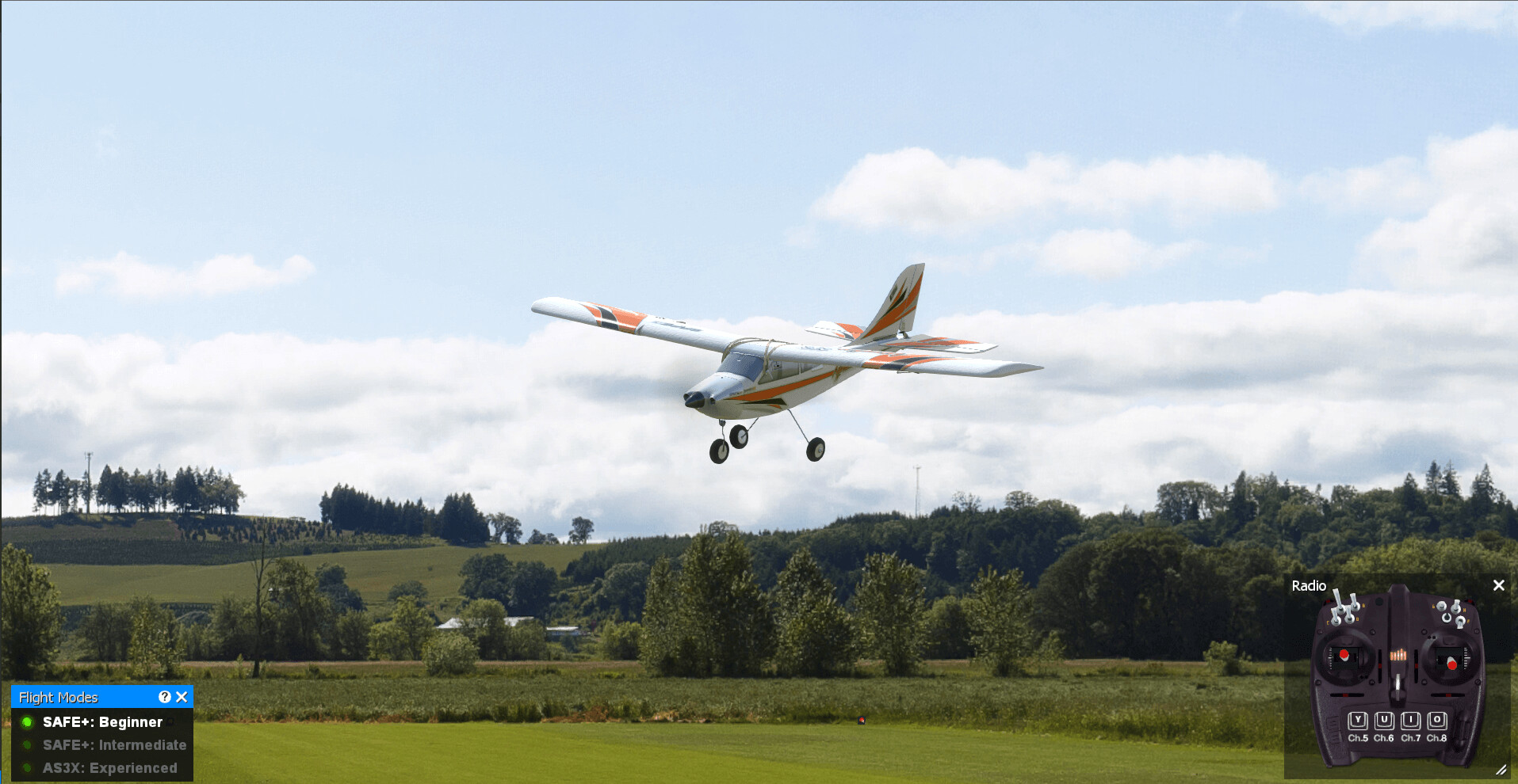 RealFlight Evolution screenshot 32