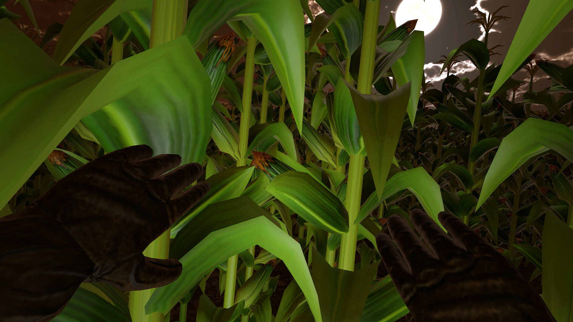 Zardy's Cave screenshot 9