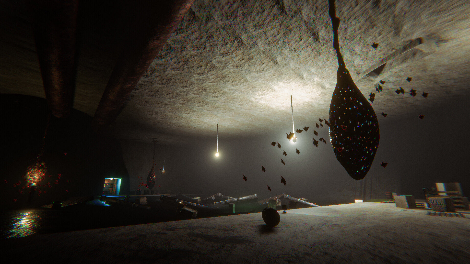 Proponent screenshot 13