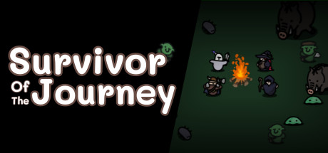 Survivor Of The Journey Cover Image