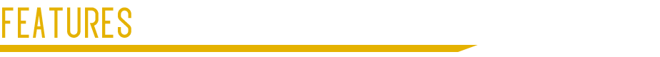features.png