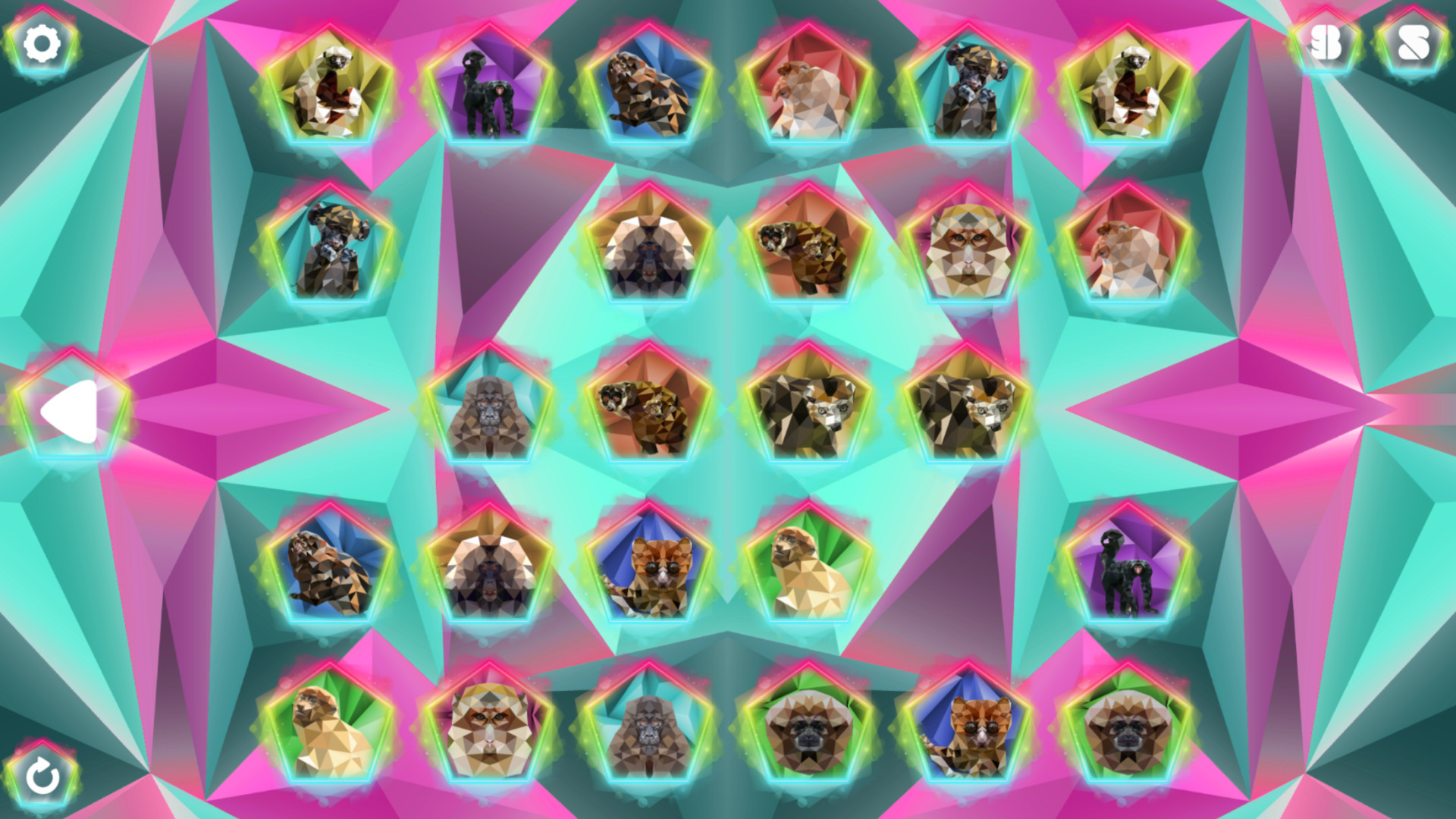 Poly Memory: Primates screenshot 5