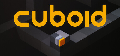 CUBOID — Steam header
