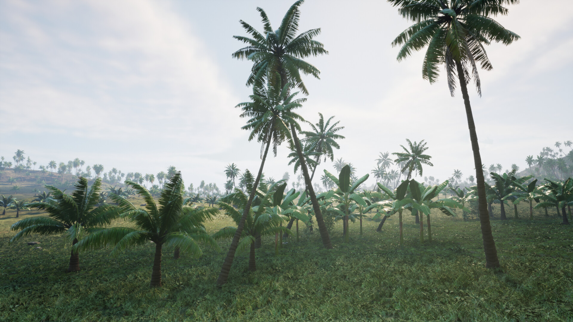 Pirates Journey screenshot 22