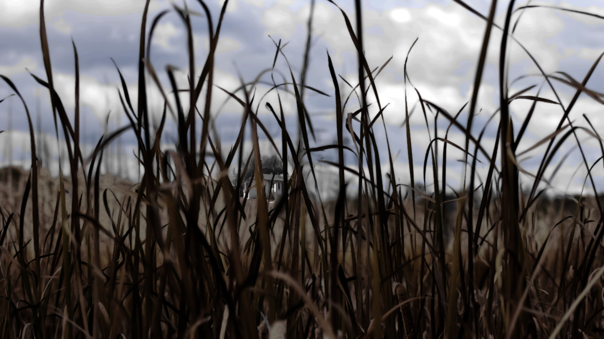77 Oleander Avenue screenshot 1