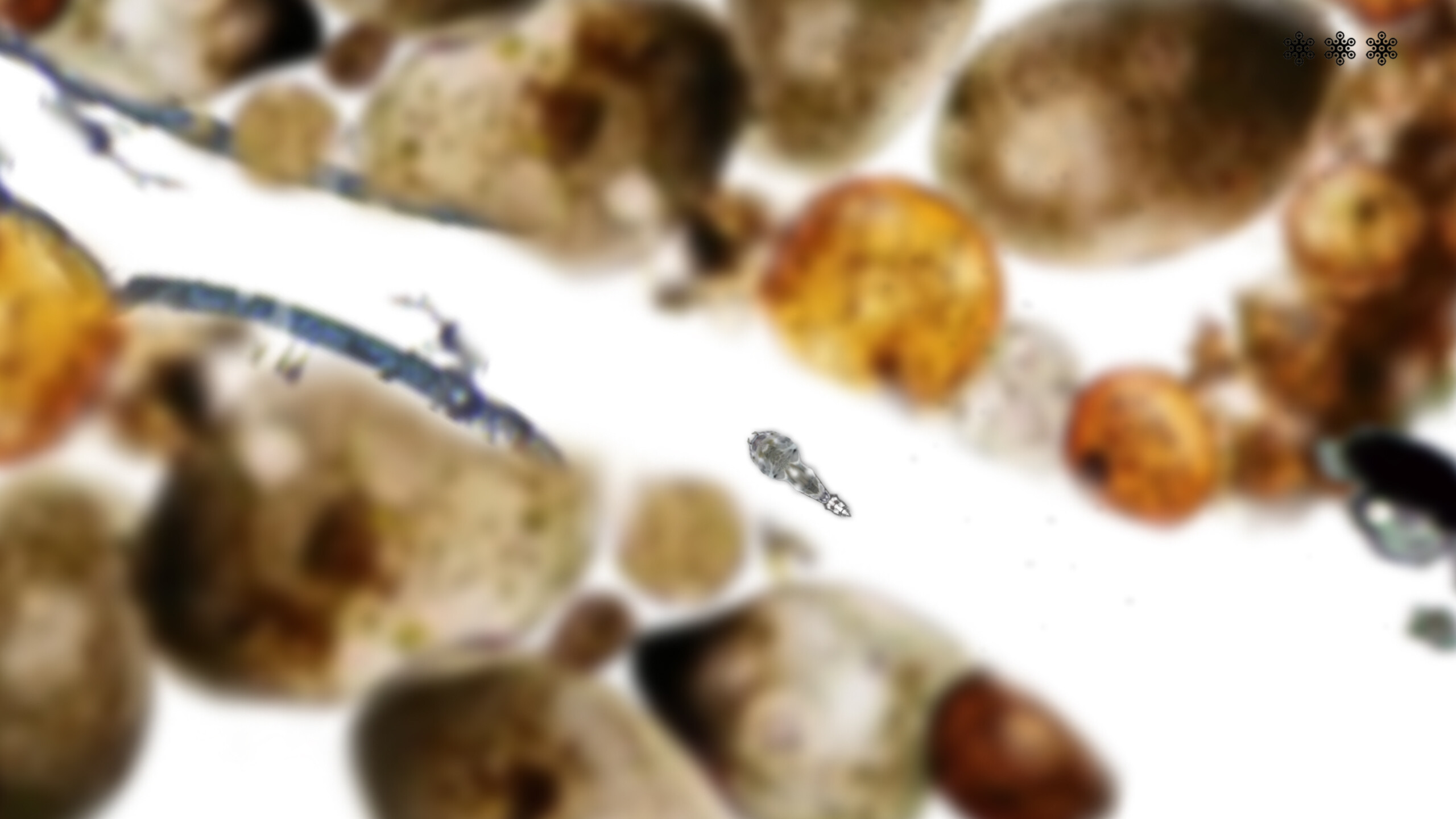 MICROSCOPIC screenshot 8