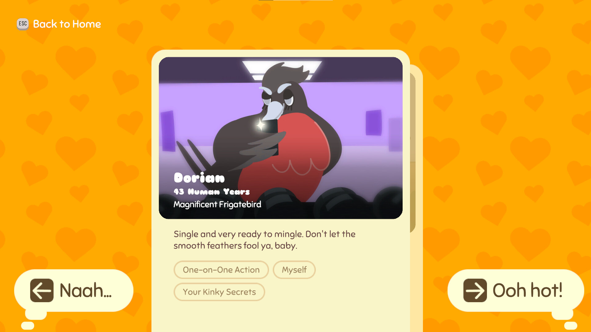 Lovebirb screenshot 5