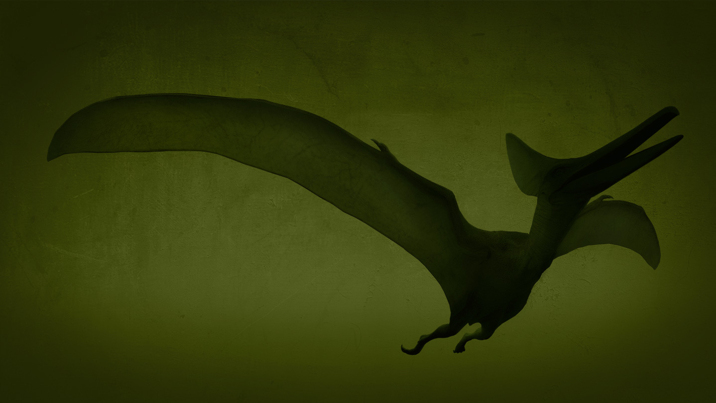 page_bg_raw.jpg?t=1663236313