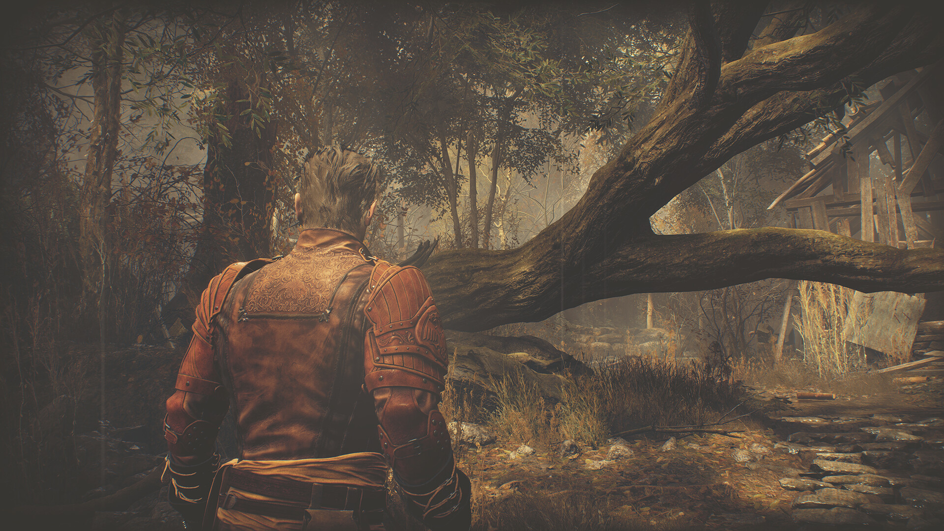 Resident Evil 4 Leon Costume & Filter: 'Hero' screenshot 2