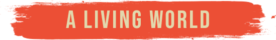 The Great War: Western Front thumbnail