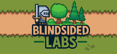 Blindsided Labs Cover Image