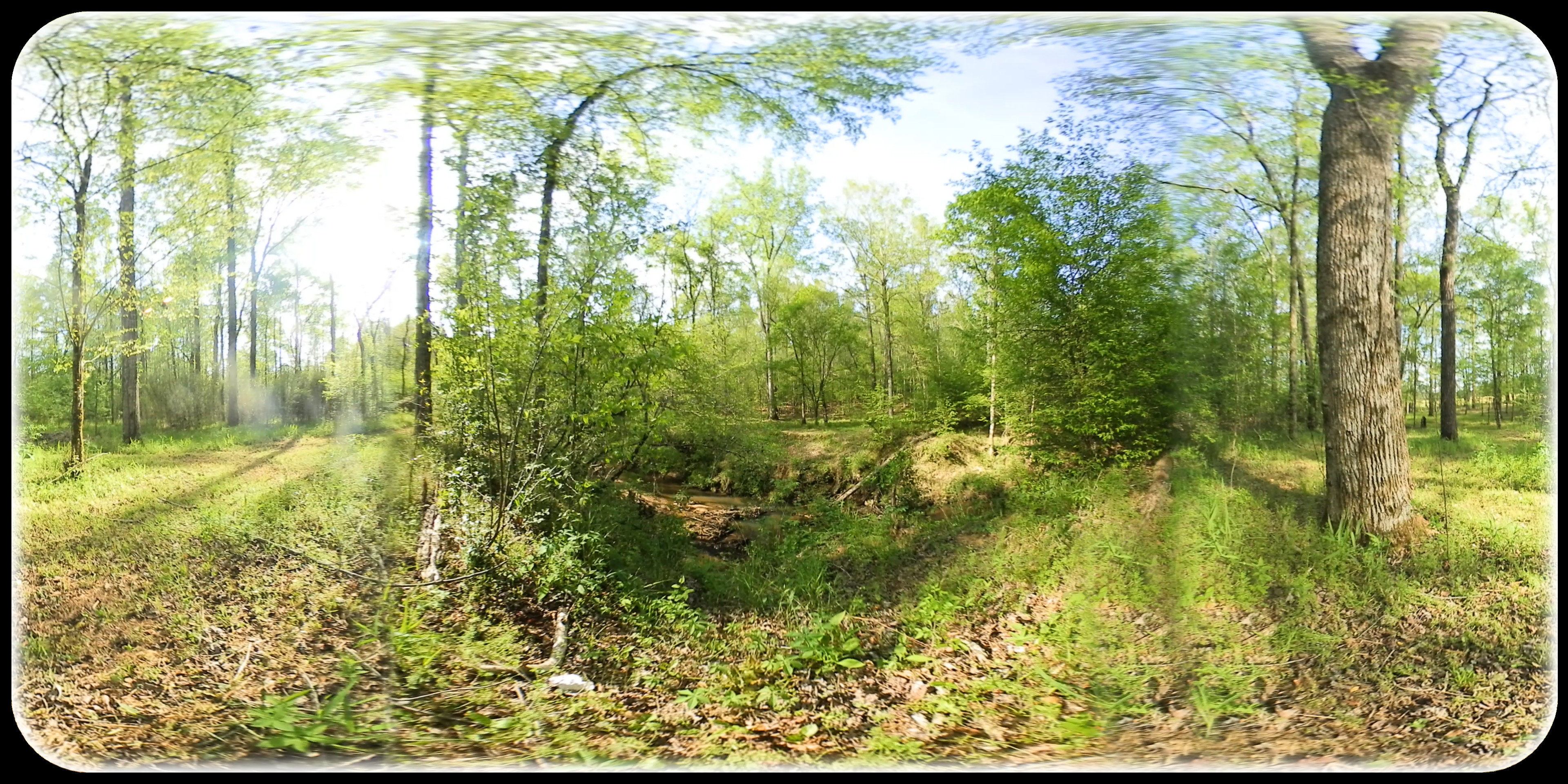 Exhale XR - Roaming screenshot 3