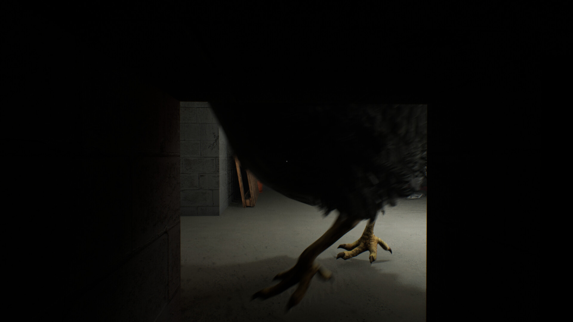 Chicken Feet screenshot 10