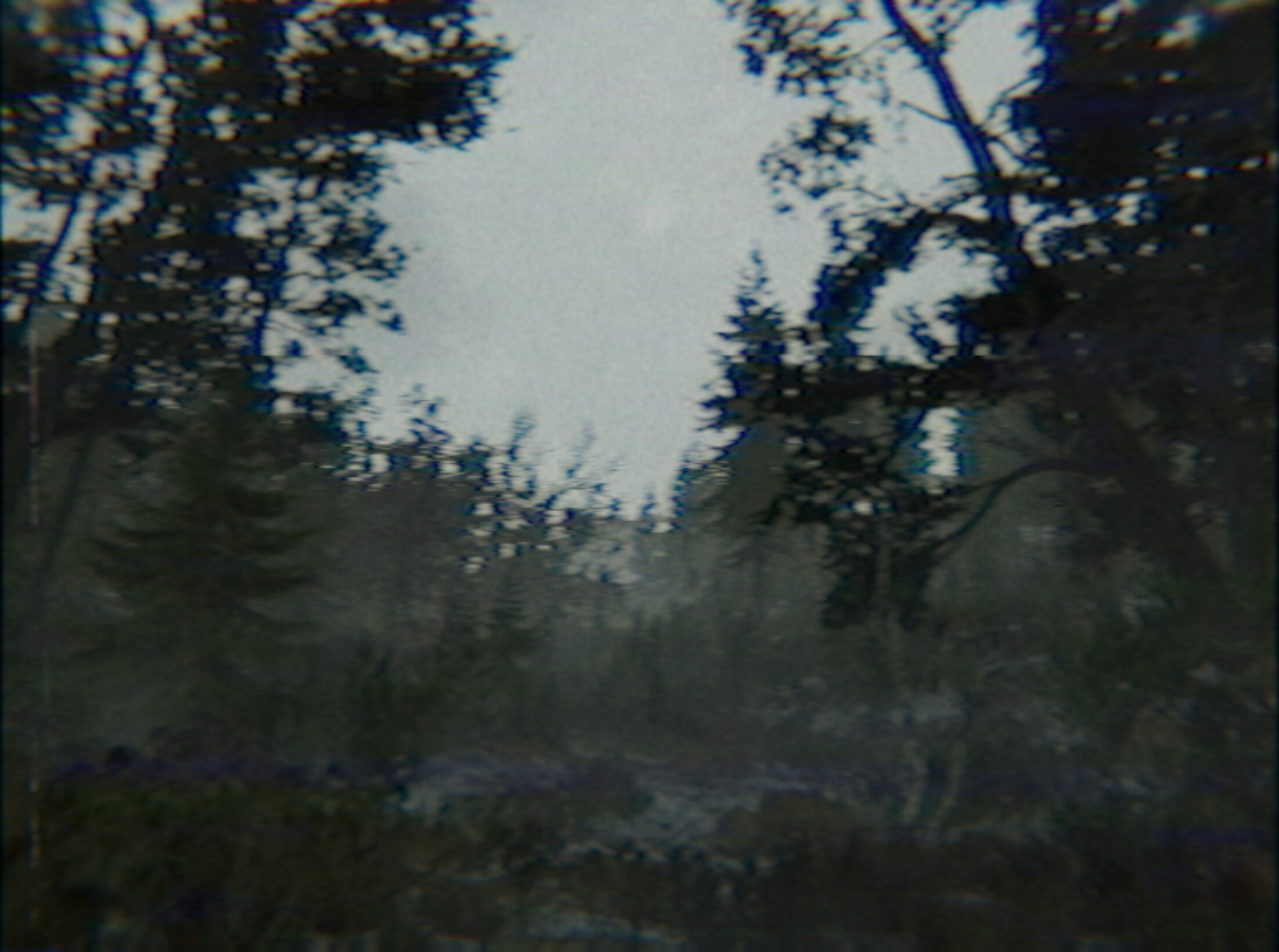 Backrooms VHS screenshot 6