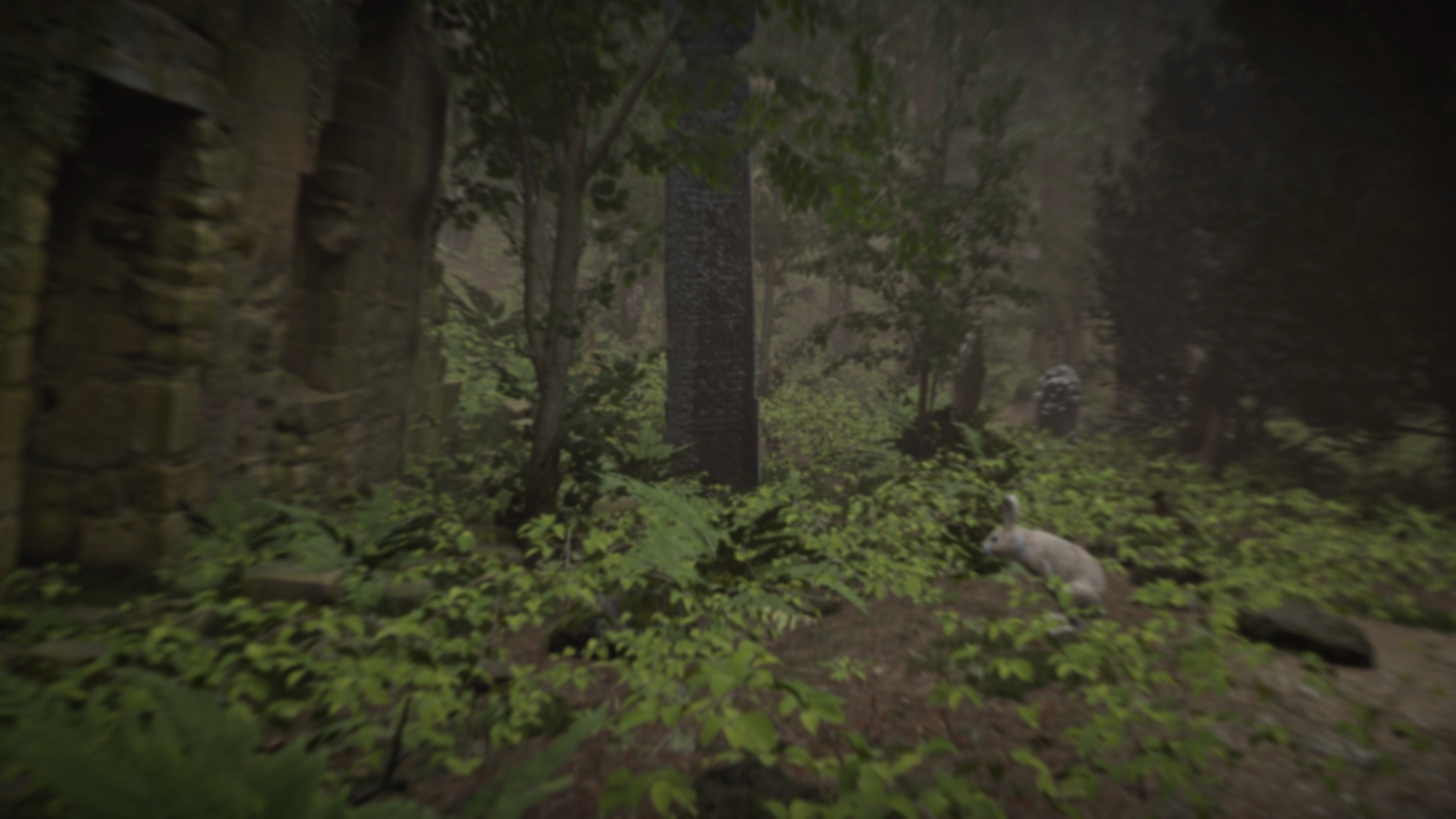 FIRE The First Dreamer screenshot 7