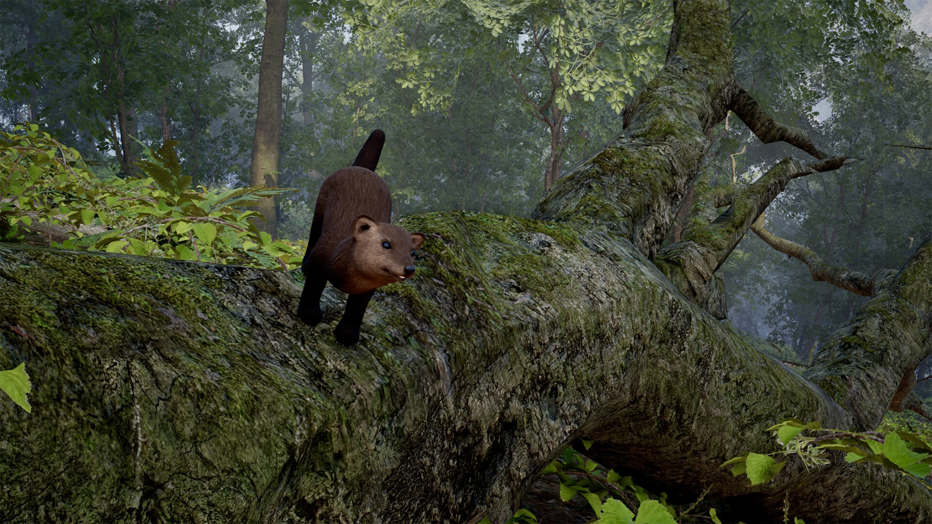 FIRE The First Dreamer screenshot 26