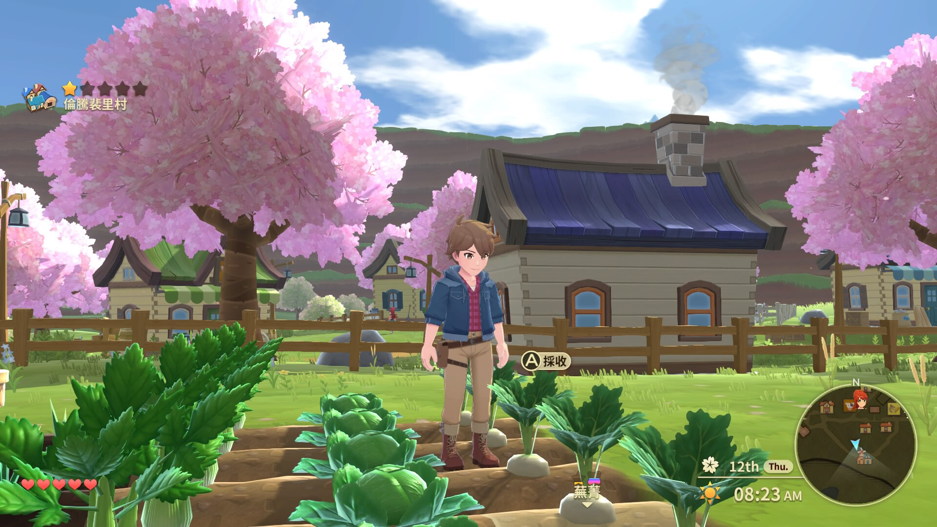 牧场物语:安托斯之风 (Harvest Moon The Winds of Anthos)