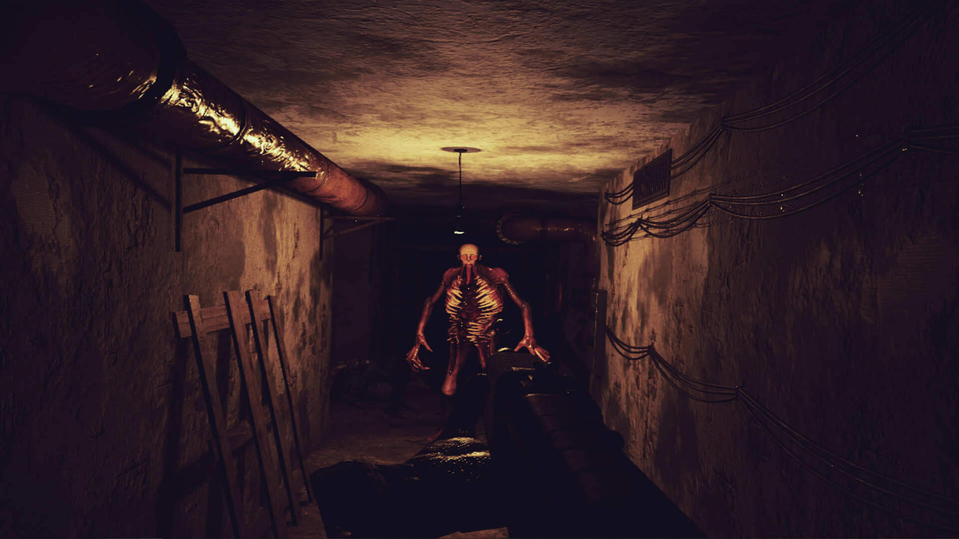 Z.O.N.A Project X screenshot 6