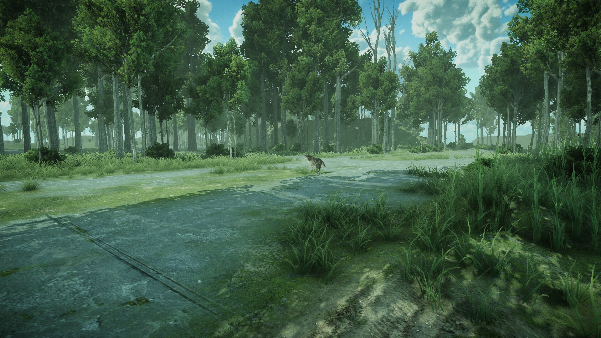 Forest Spring screenshot 7