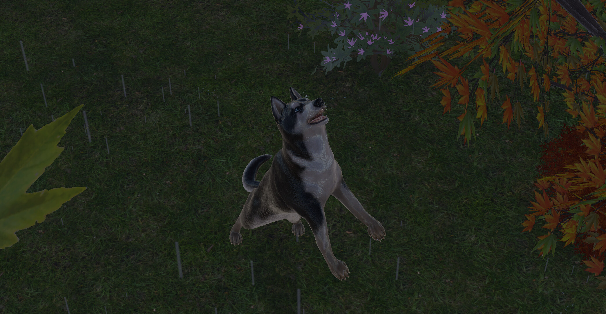 Pets Hotel: Prologue screenshot 20