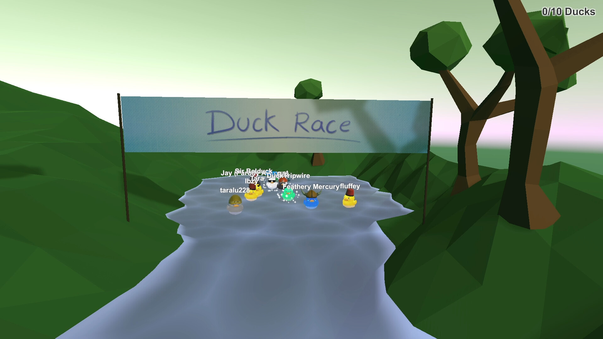 Duck Race screenshot 7