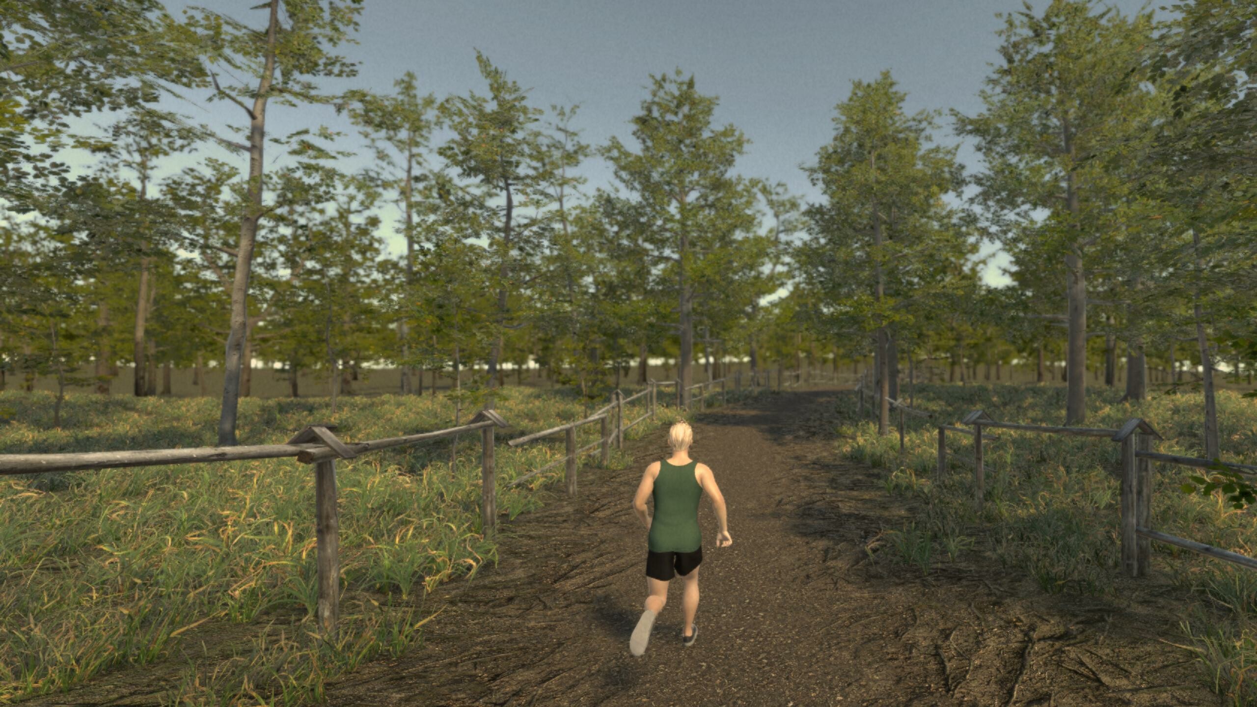 VR Run screenshot 4