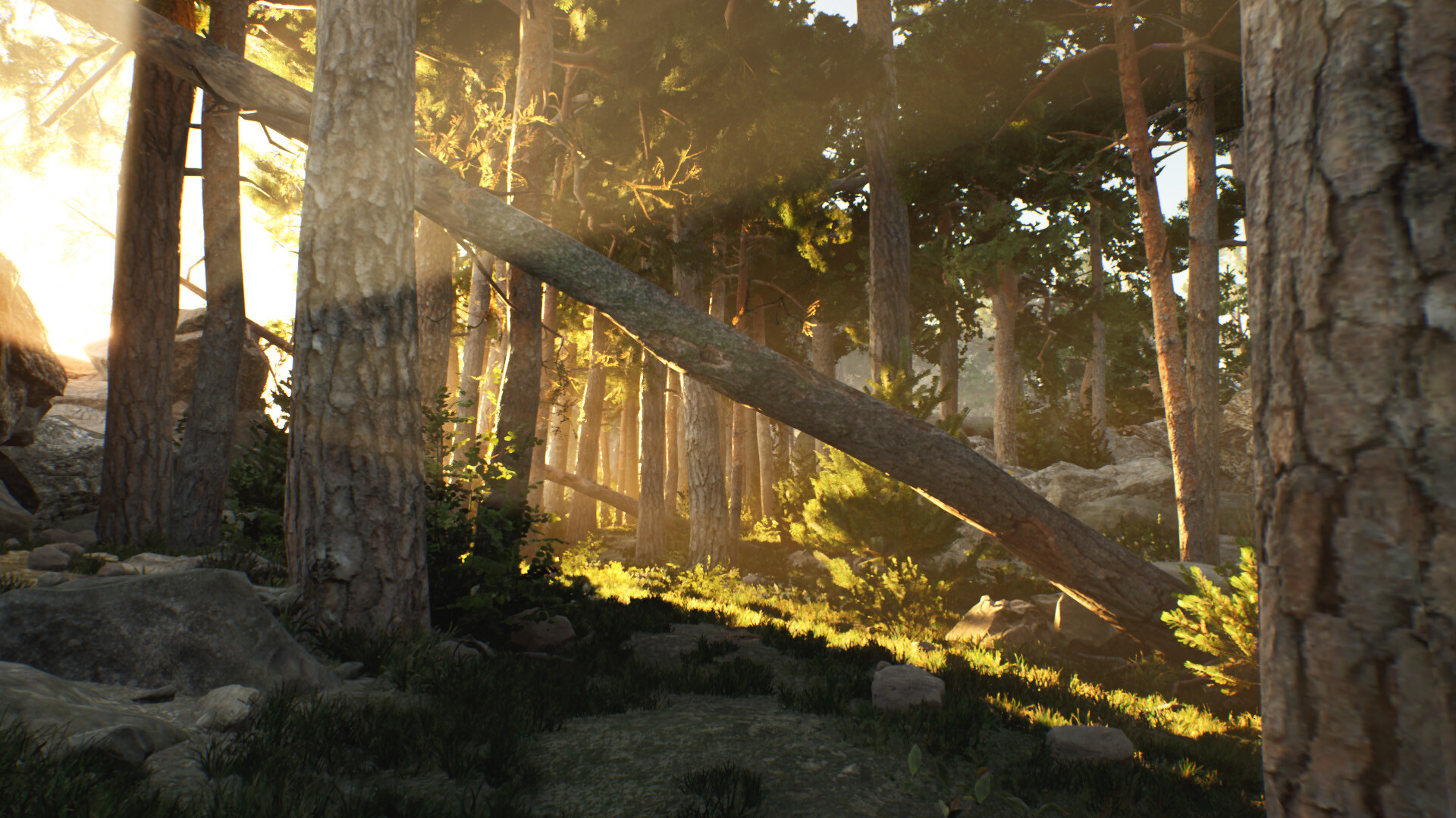The Archipelago Promise screenshot 8