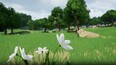 Screenshot #5