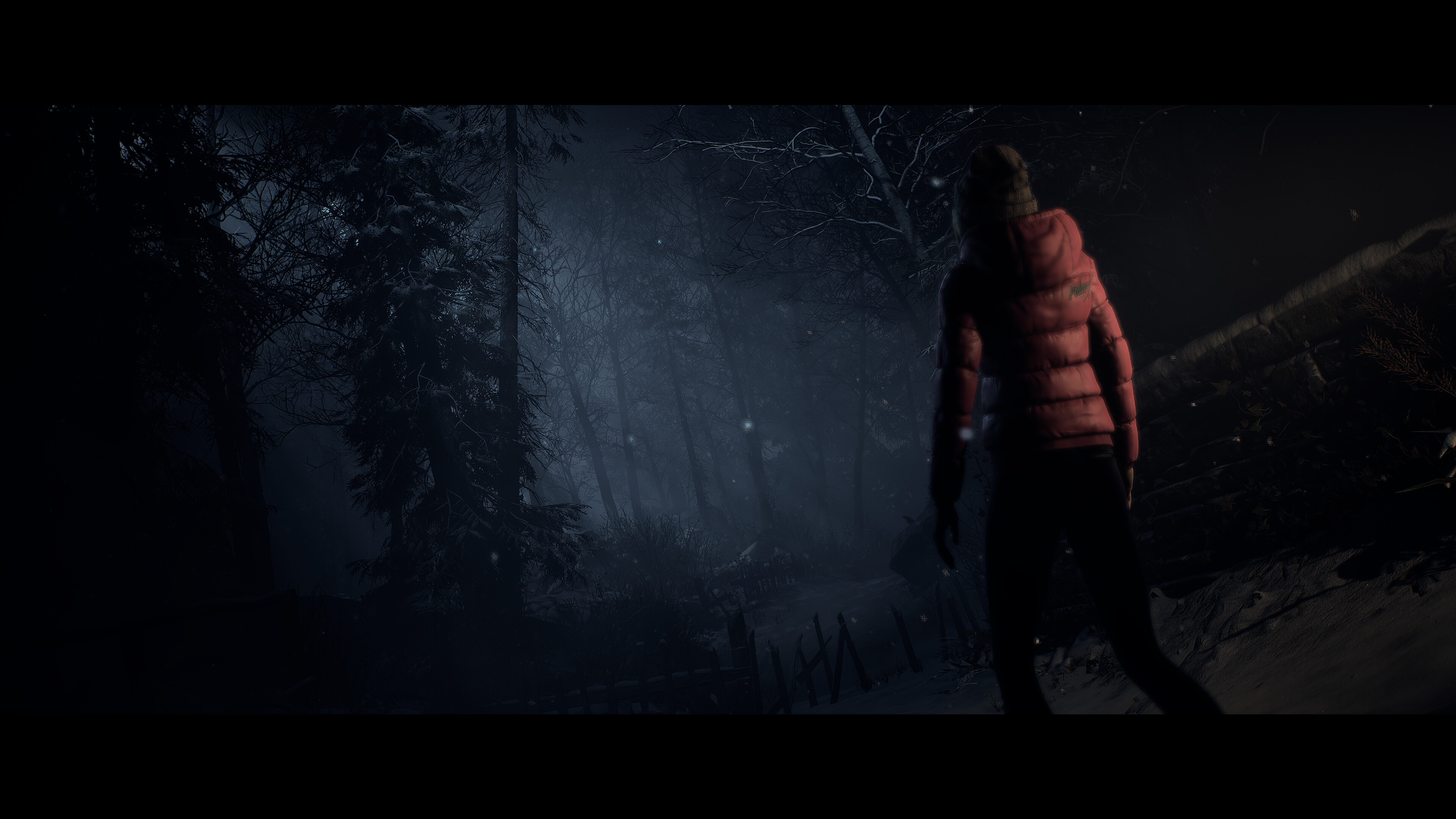 Until Dawn™ screenshot 4