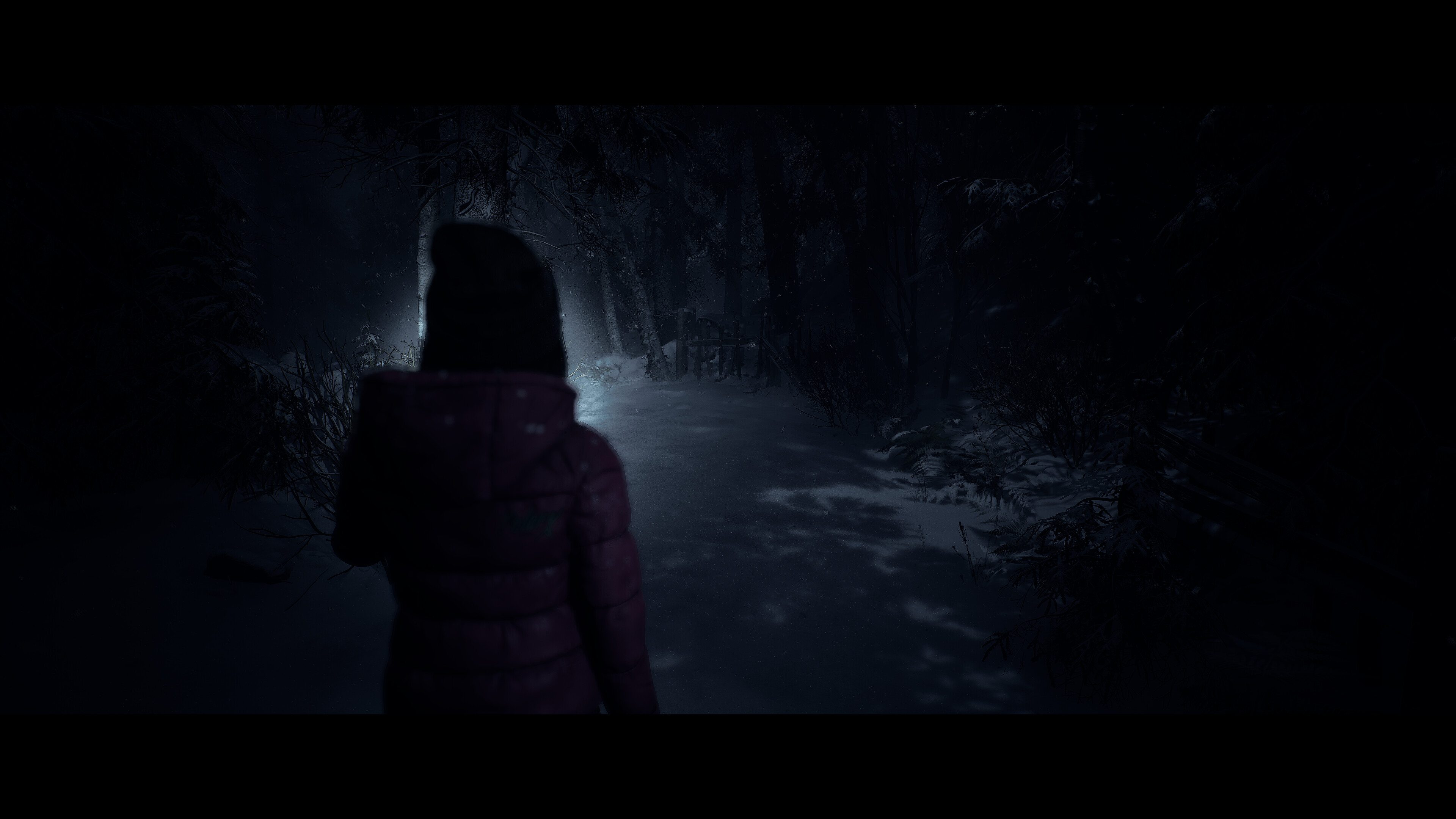 Until Dawn™ screenshot 7
