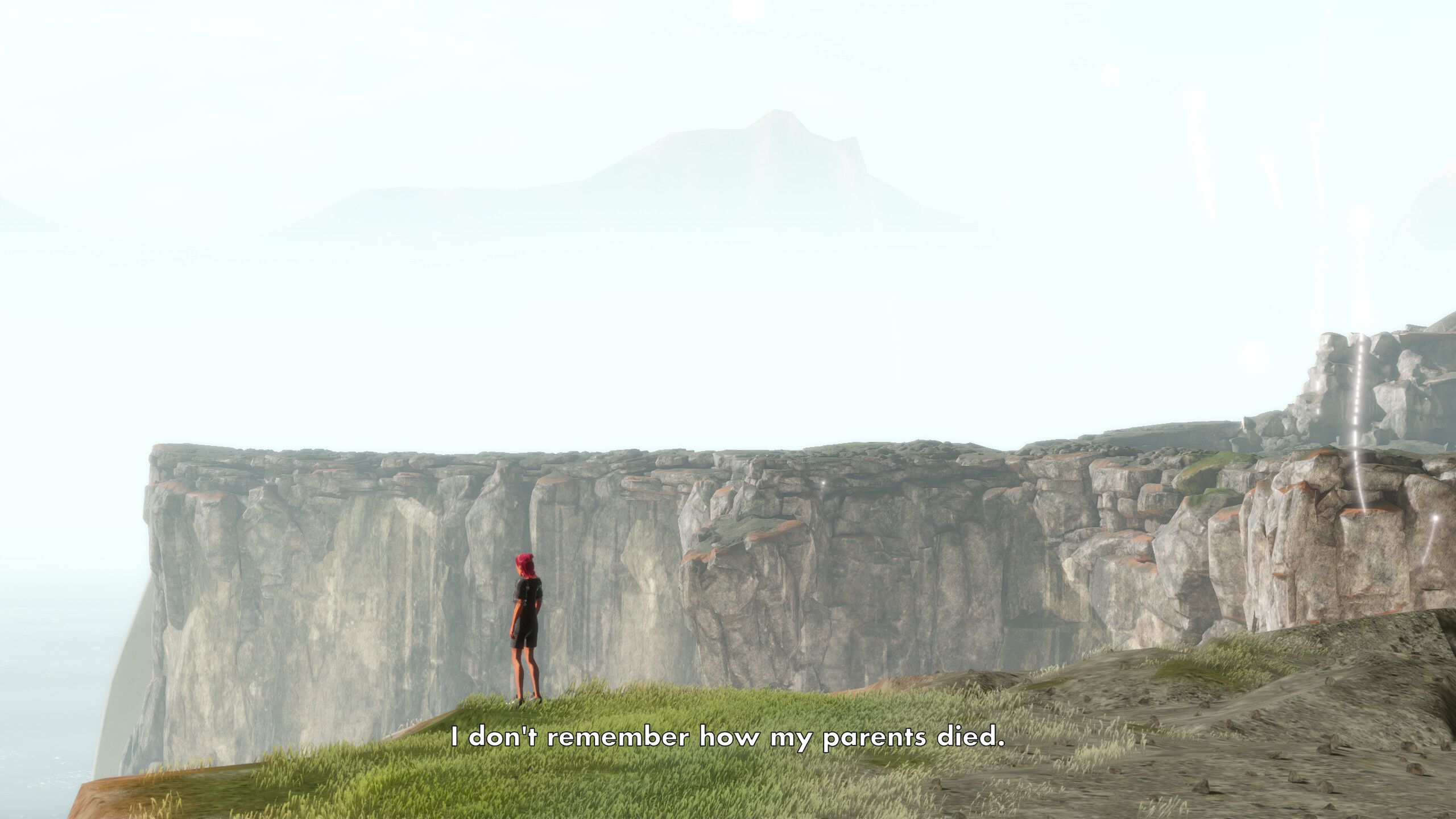 Player Non Player screenshot 12