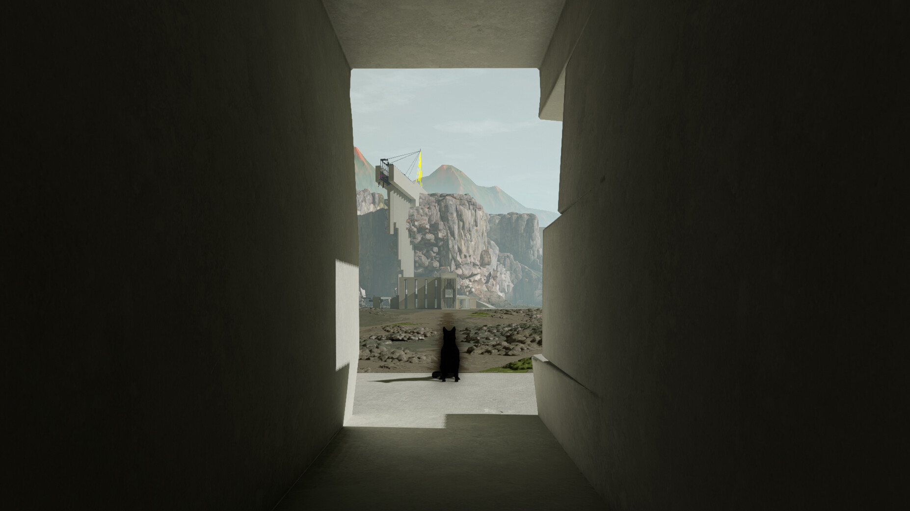 Player Non Player screenshot 18