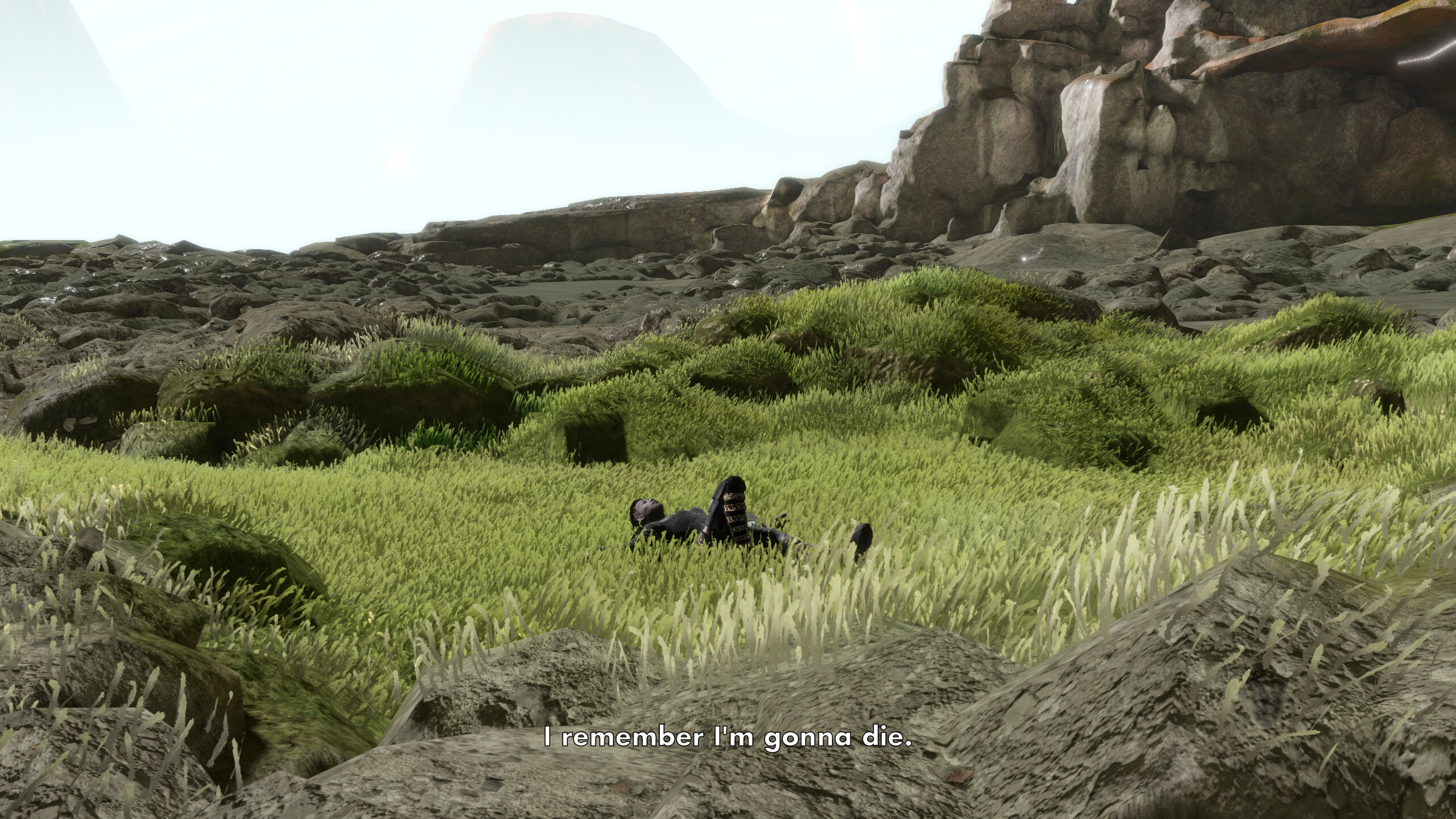 Player Non Player screenshot 5
