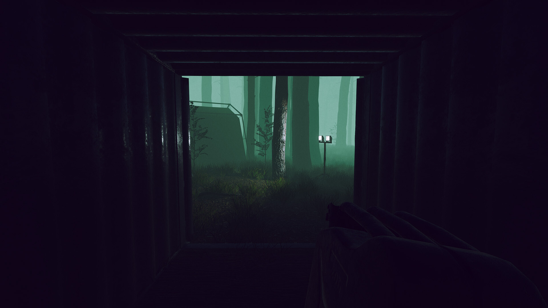 Odd Woods screenshot 11