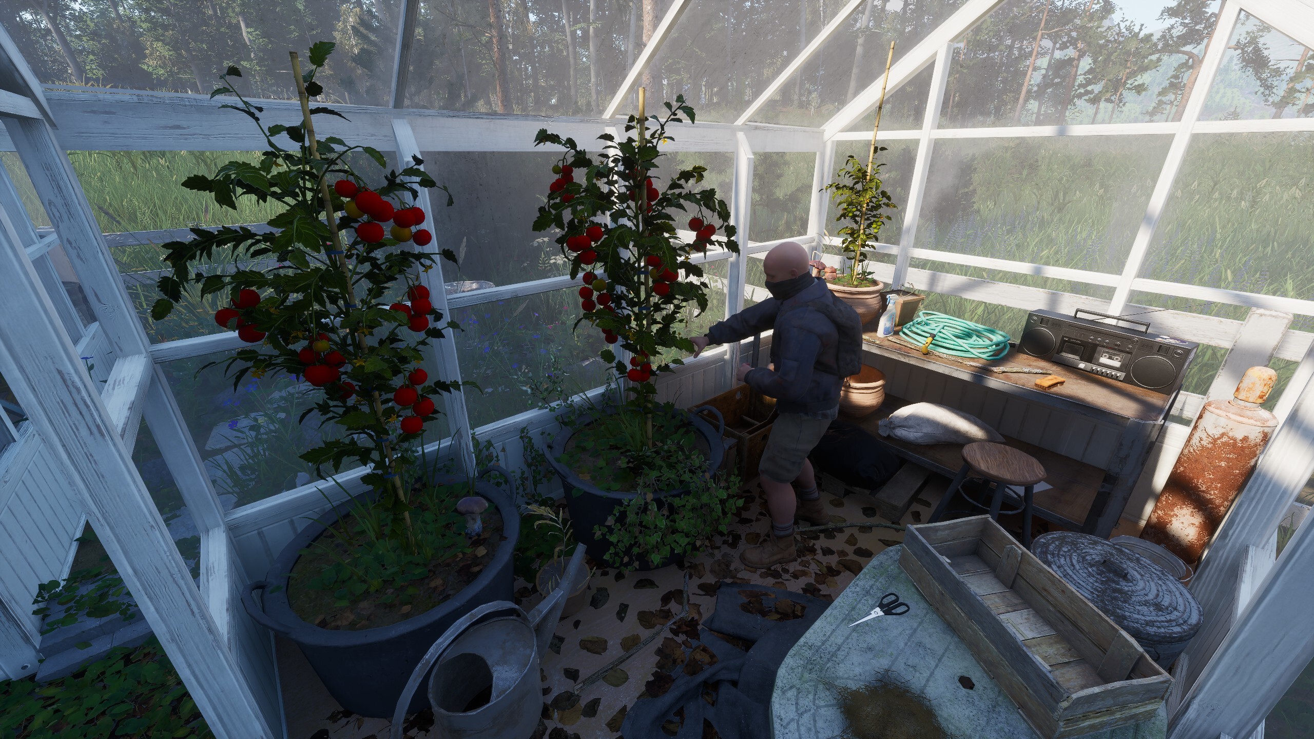Ardem screenshot 7