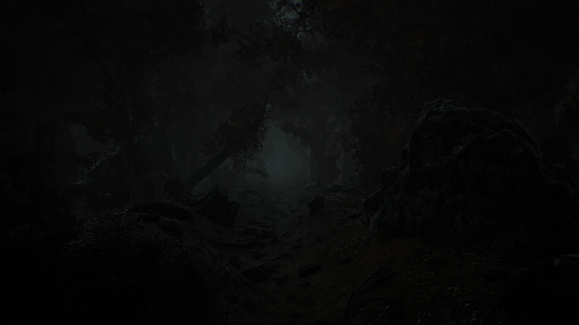 Leak screenshot 8