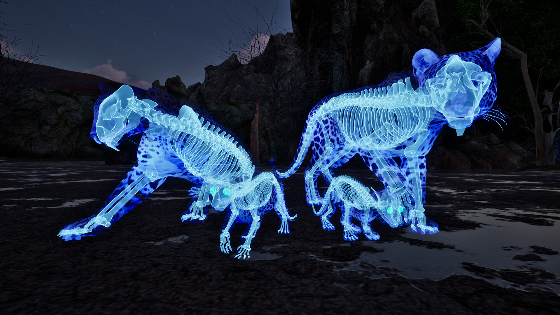 Ghost Animals screenshot 3