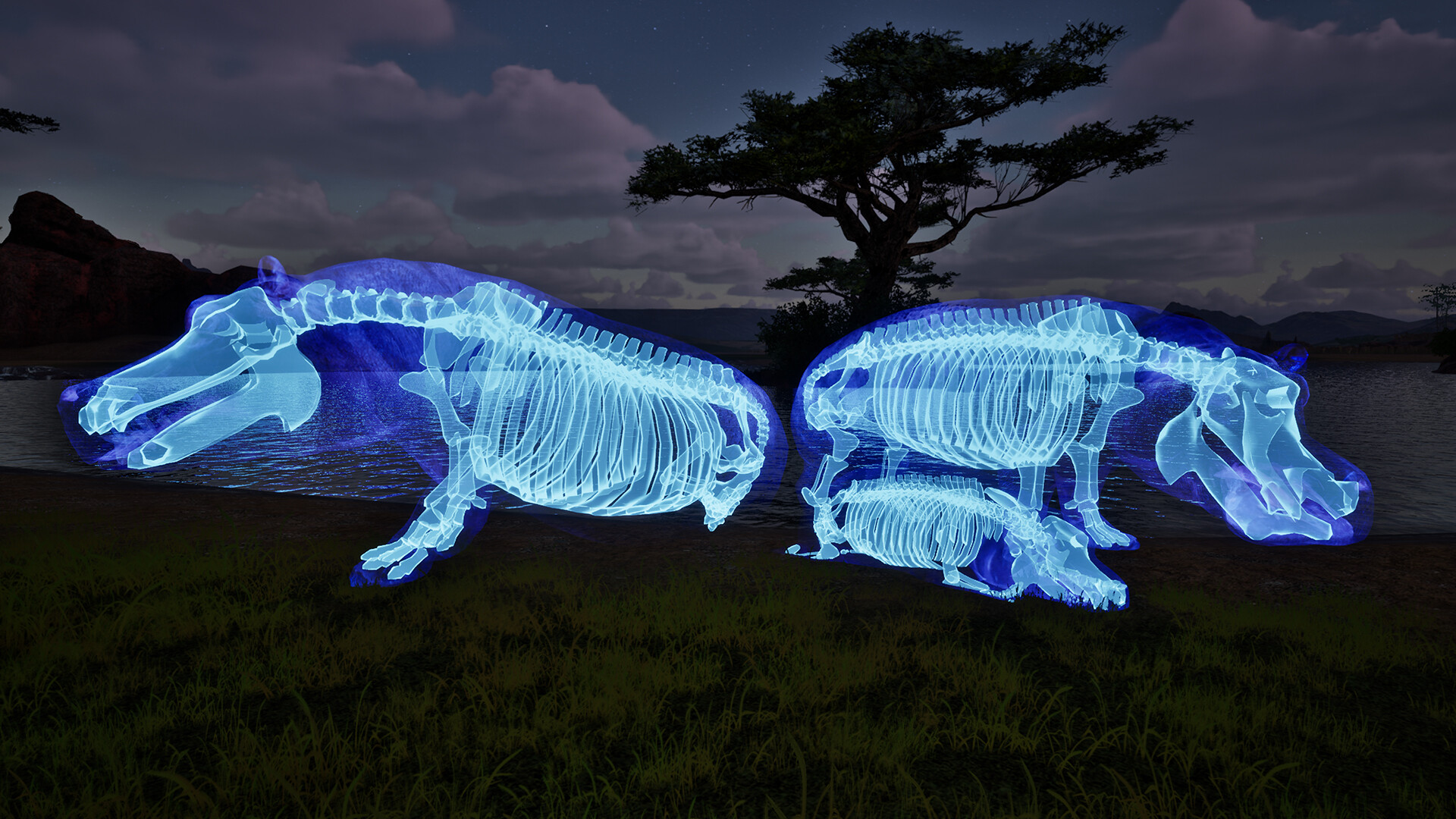 Ghost Animals screenshot 4