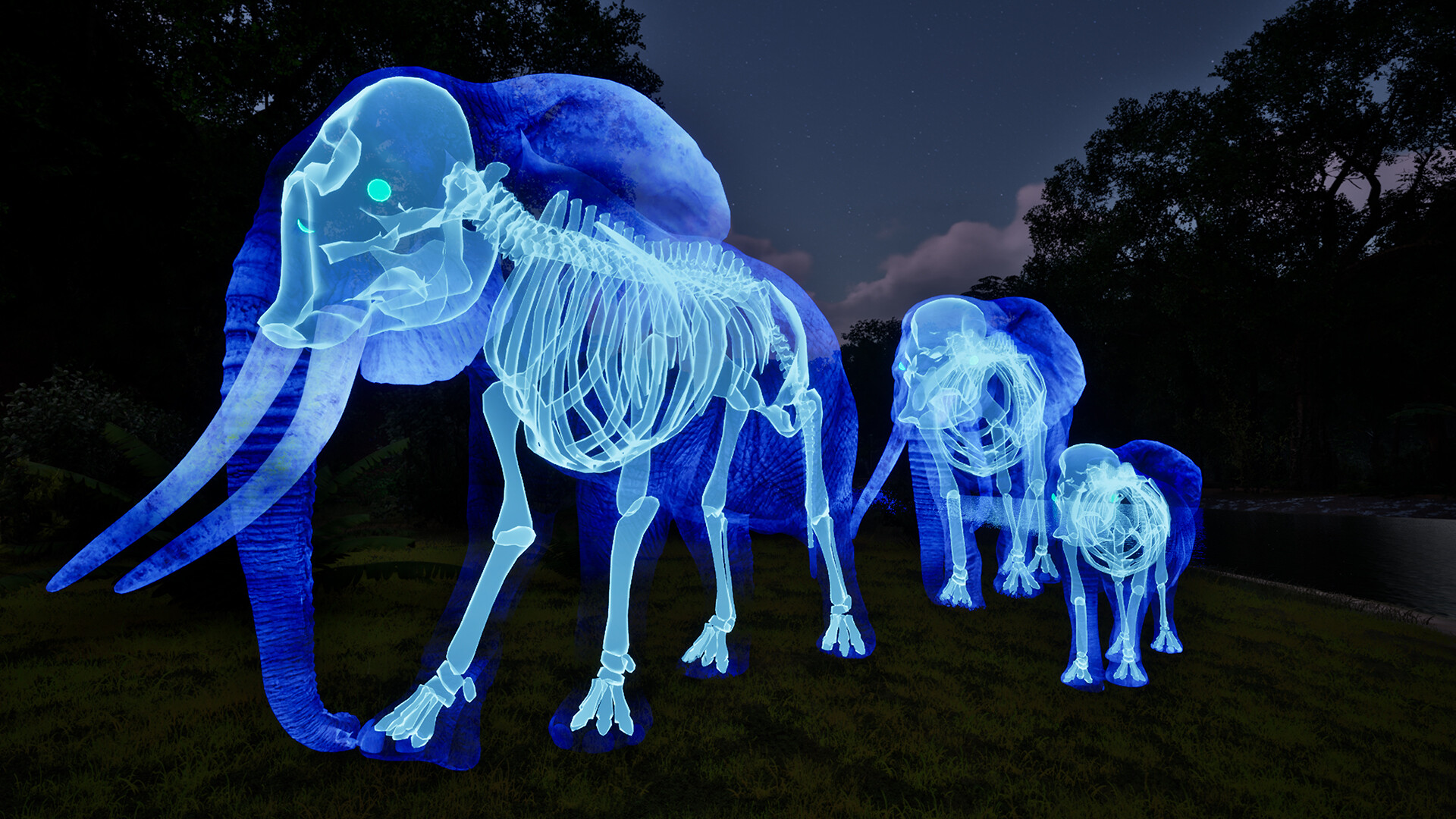 Ghost Animals screenshot 5