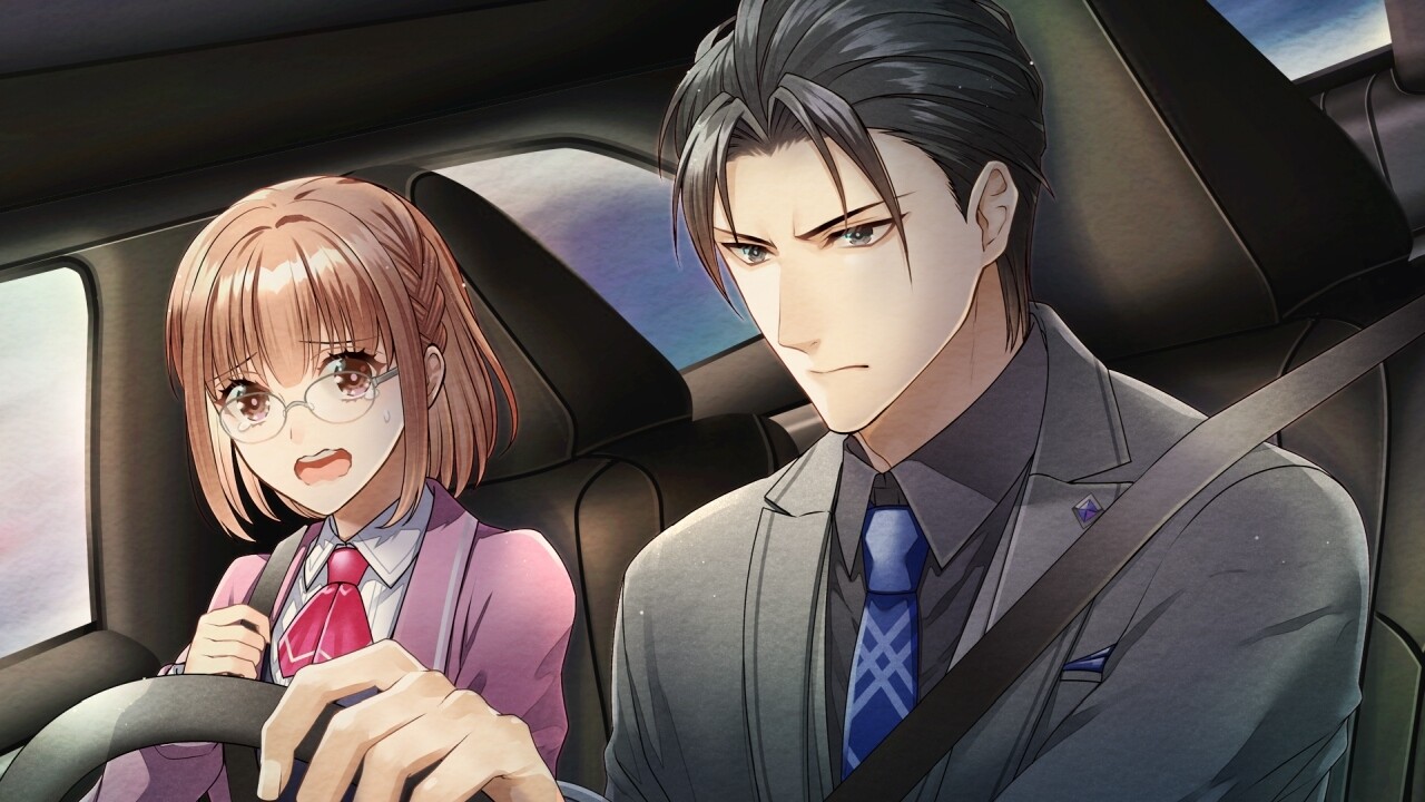 The Protea Cases screenshot 2